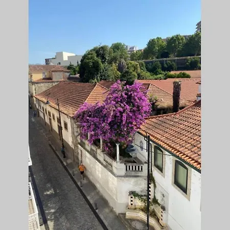 Hidden Gem W/ Rooftop - Center & Douro View * Peso da Régua